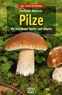 Pilze - Gerlinde Hausner