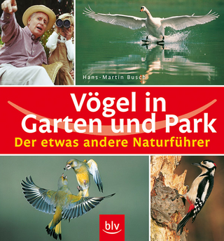 Vögel in Garten und Park