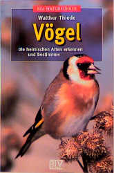 Vögel