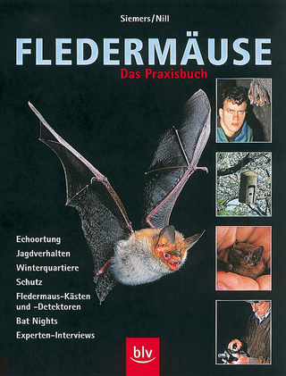 Fledermäuse. Das Praxisbuch