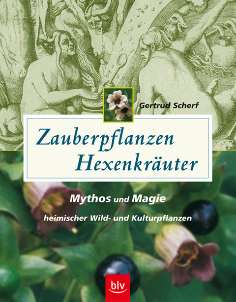 Zauberpflanzen - Hexenkr&auml;uter - Gertrud Scherf