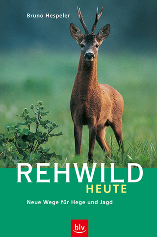 Rehwild heute