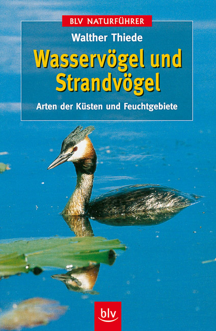 Wasserv&ouml;gel und Strandv&ouml;gel - Walther Thiede