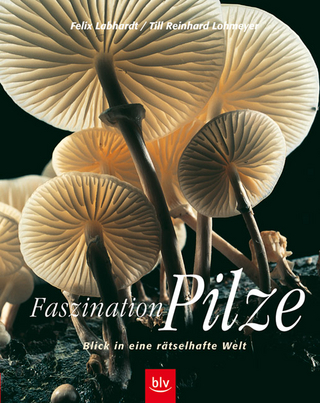 Faszination Pilze