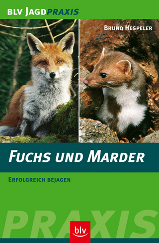 Fuchs und Marder