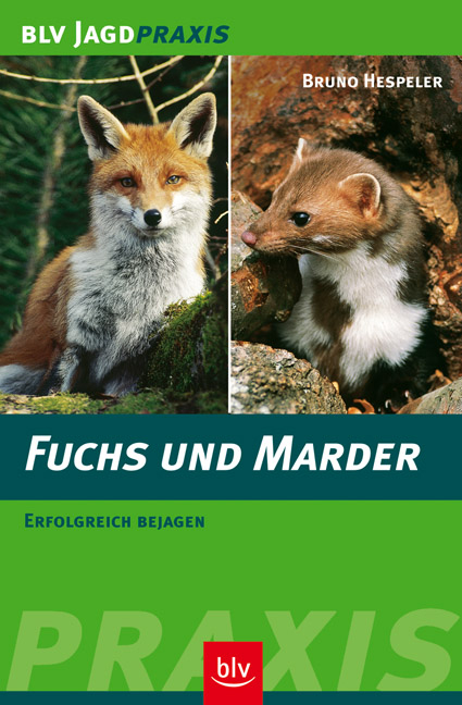 Fuchs und Marder - Bruno Hespeler