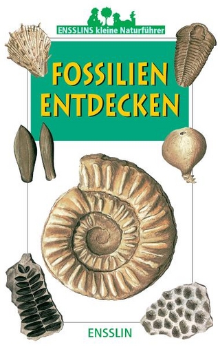 Fossilien Europas