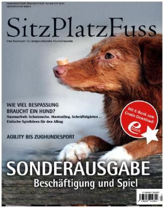 SitzPlatzFuss - Sonderausgabe - 