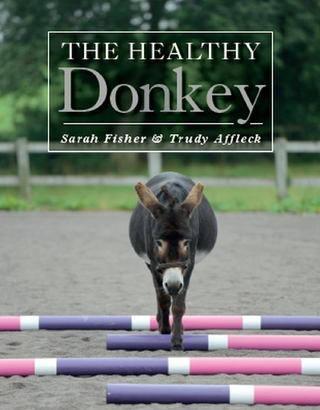 Healthy Donkey