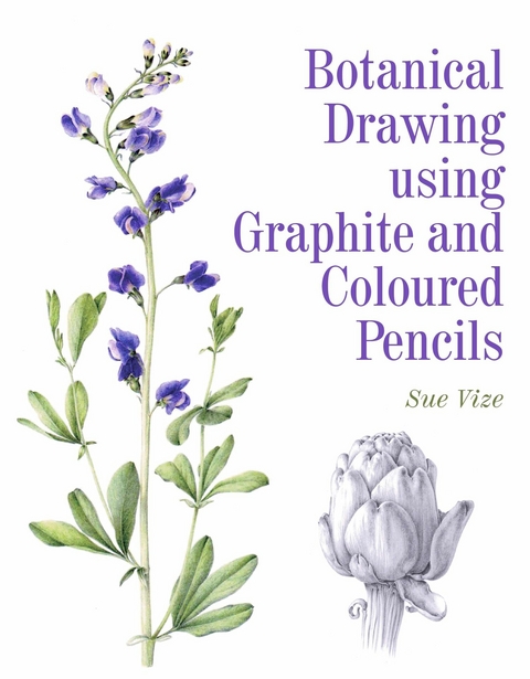 Botanical Drawing Using Graphite and Coloured Pencils - Sue Vize
