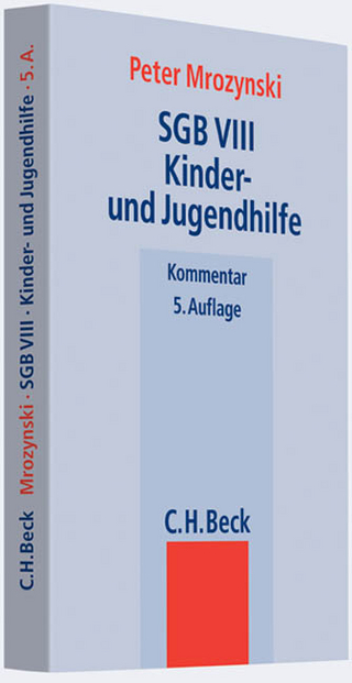 SGB VIII Kinder- und Jugendhilfe