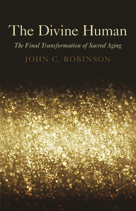 Divine Human -  John C. Robinson