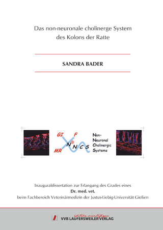 Das non-neuronale cholinerge System des Kolons der Ratte