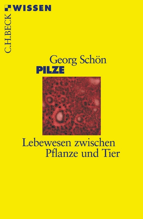 Pilze - Georg Sch&ouml;n