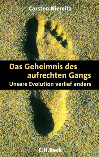 Das Geheimnis des aufrechten Gangs
