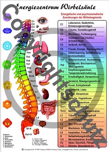 Energiezentrum Wirbels&auml;ule - Tanja Aeckersberg