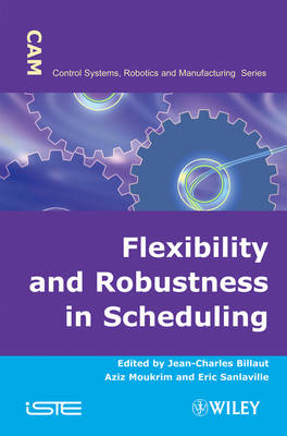 Flexibility and Robustness in Scheduling - 