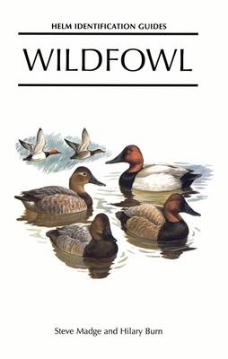 Wildfowl -  Steve Madge