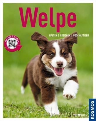 Welpe - Johanna Esser