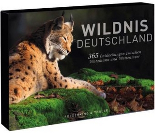 Tischaufsteller – Wildnis Deutschland