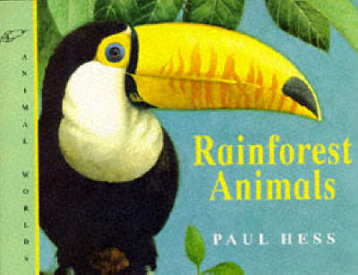 Rainforest Animals - Paul Hess