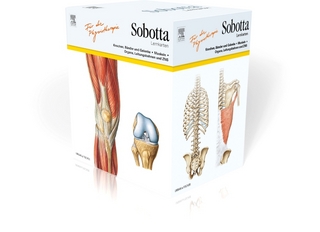 Sobotta Lernkarten für Physiotherapeuten / Manualtherapeuten