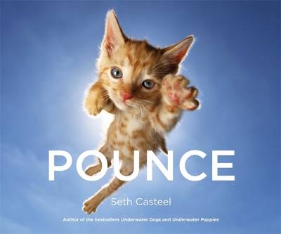Pounce -  Seth Casteel