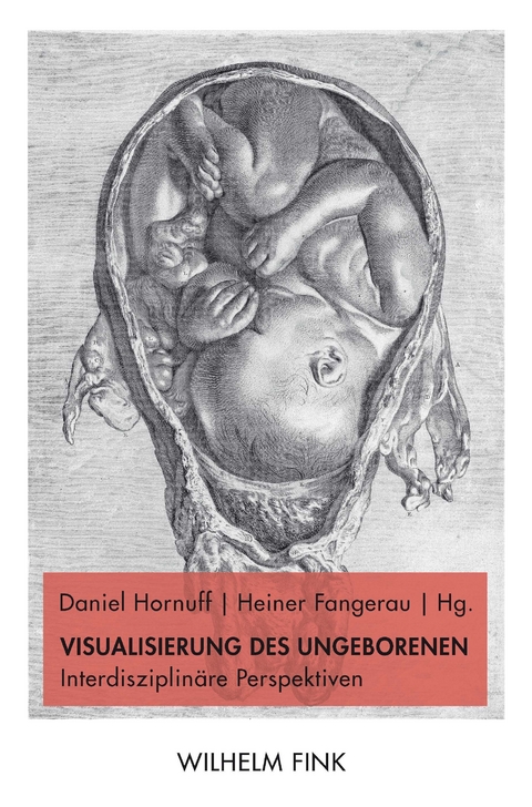 Visualisierung des Ungeborenen - 