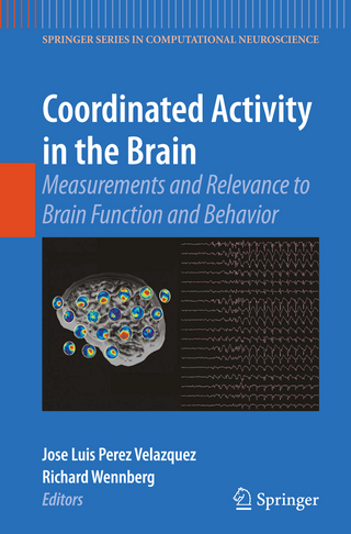 Coordinated Activity in the Brain