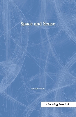 Space and Sense - Susanna Millar