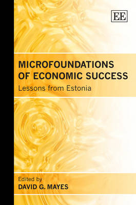 Microfoundations of Economic Success - 