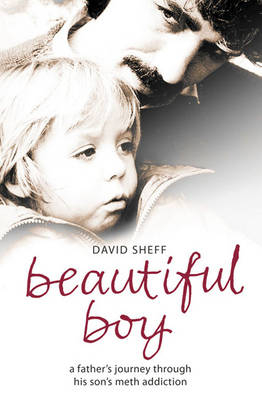 Beautiful Boy - David Sheff