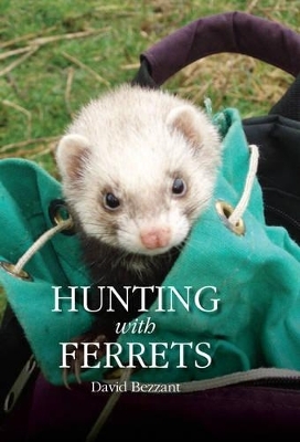 Hunting with Ferrets - David Bezzant