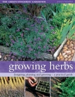 Growing Herbs