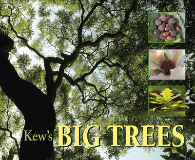 Kew's Big Trees - Christina Harrison