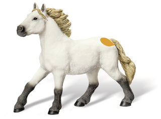 tiptoi® Camargue Stute