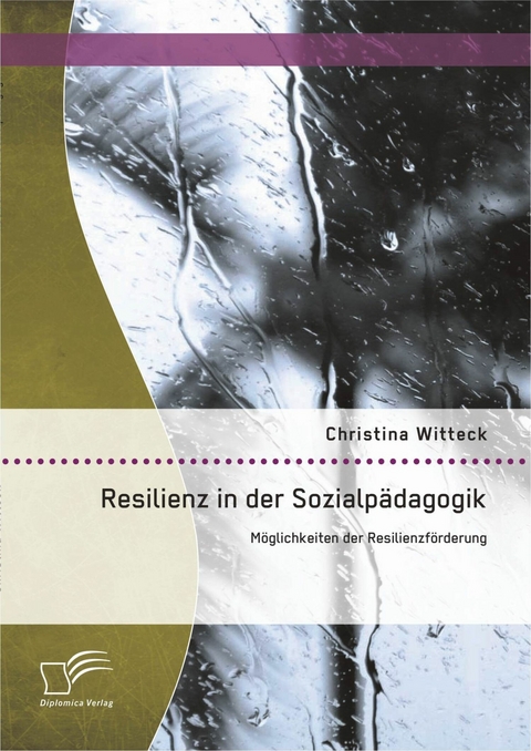 Resilienz in der Sozialp&auml;dagogik: M&ouml;glichkeiten der Resilienzf&ouml;rderung - Christina Witteck
