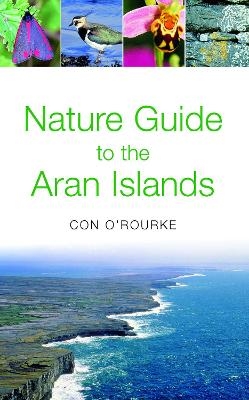 Nature Guide to the Aran Islands - Con O'Rourke