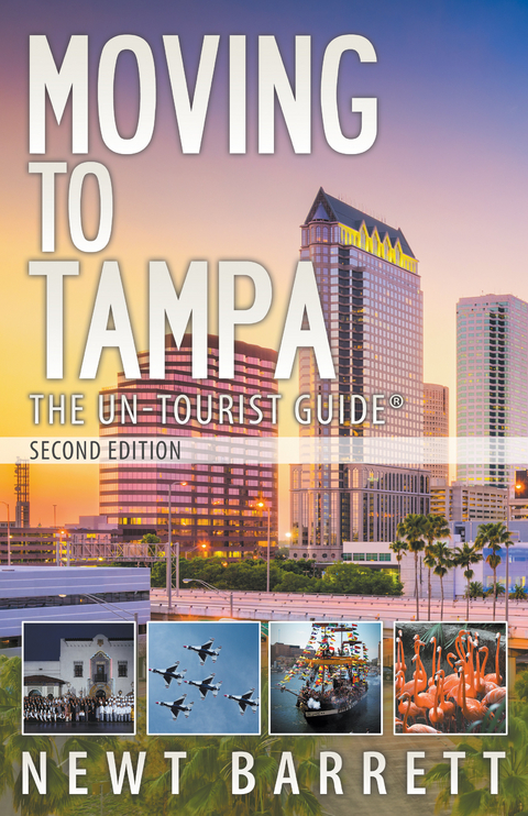 Moving to Tampa: The Un-Tourist Guide -  Newt Barrett