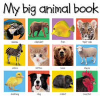 My Big Book of Animals