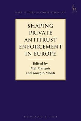 Shaping Private Antitrust Enforcement in Europe - 