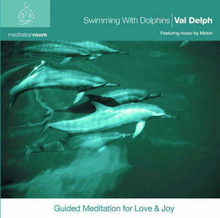 Swimming with Dolphins