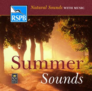 Summer Sounds