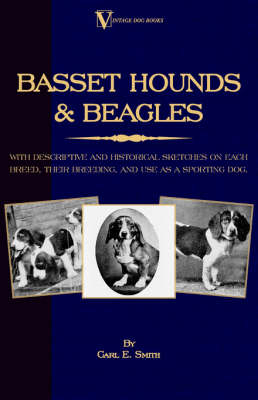 Basset Hounds and Beagles
