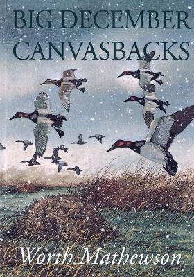 Big December Canvasbacks, Revised
