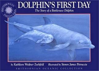 Dolphin's First Day