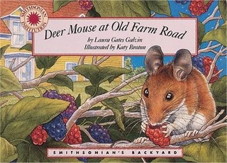 Deer Mouse at Old Farm Road