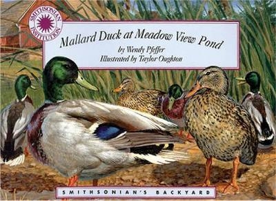 Mallard Duck at Meadow View Pond - Wendy Pfeffer