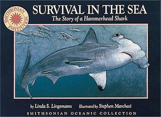 Survival in the Sea