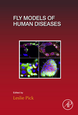 Fly Models of Human Diseases